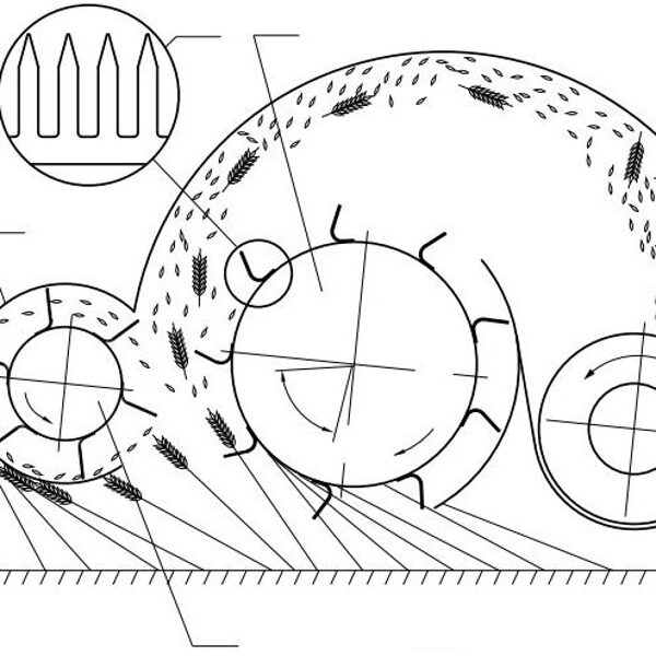 Graudaugiem un liniem