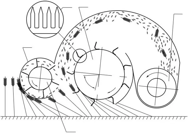 Graudaugiem un liniem